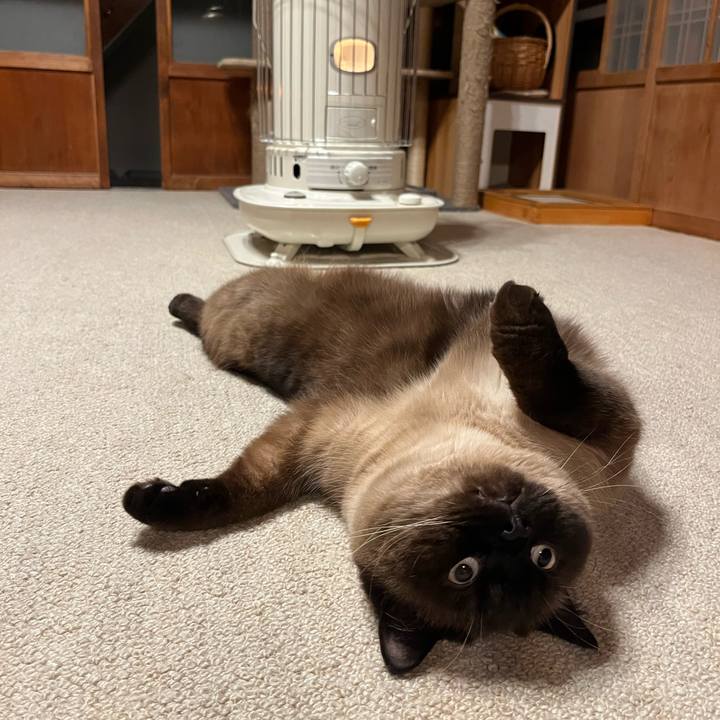 453db6f4 0a17 4c6a 878e e5dc2de16b1d 1676635326471