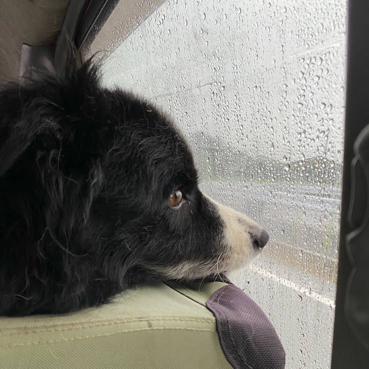 453de149 2c72 4e4c 991b e95d139d3408 1628806156595