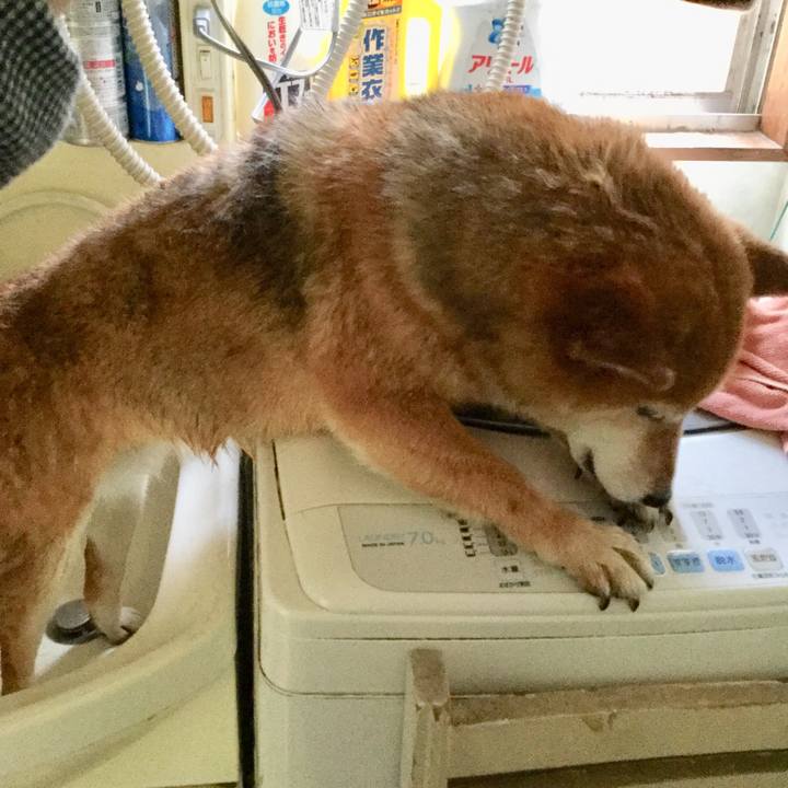 453dfbc8 7e56 417a 8b22 4655698effec 1588217957149