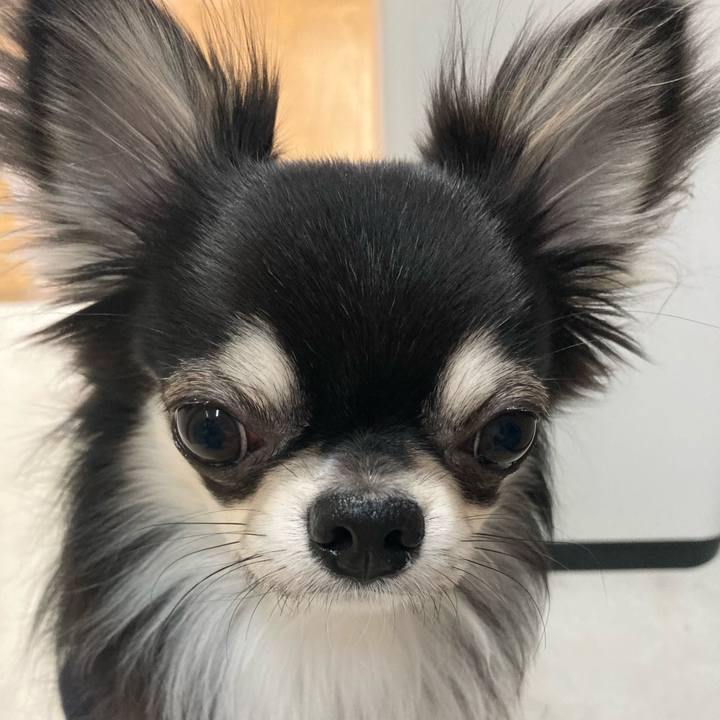 453dfddb c07d 4f9c 815d cb8862d4ca1c 1613171365415