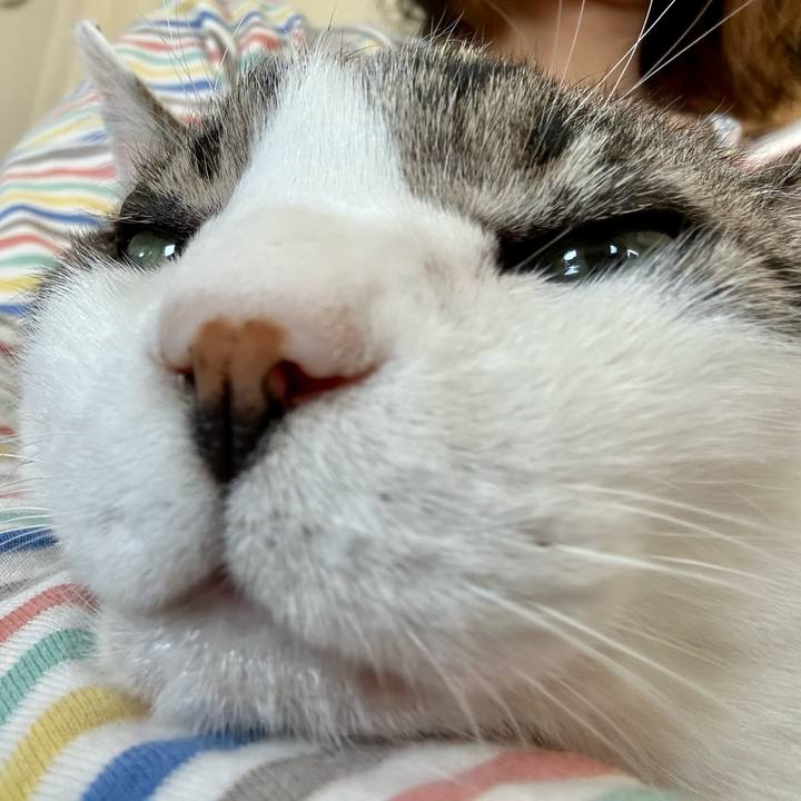 453e1f04 f574 47e1 9178 a947a051e9ec 1682216685444