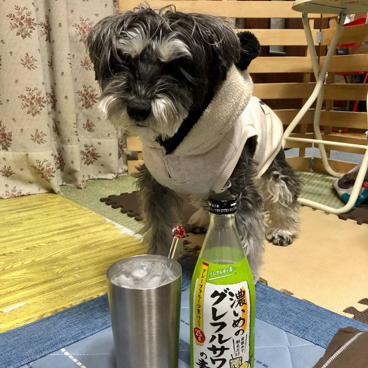 453e5921 1734 4ffd 8d1c 7969693fc345 1706621063116