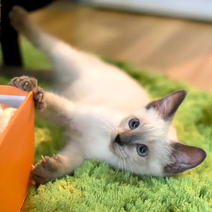 453e76a1 6bbd 4448 a0e6 4a9ddb8f9f78 1571190782698