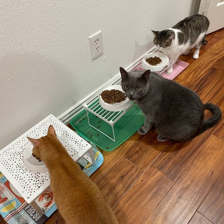 453e9829 56a8 4ee9 b48f 2c4eec0d589f 1697762032886