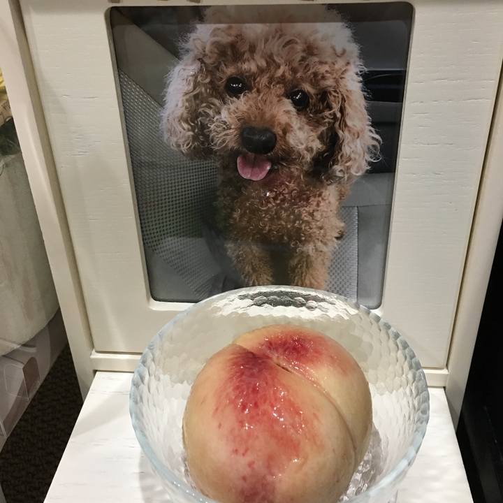 453ea6f4 4a30 4724 b81c c1ea2a4f52fc 1565873787035