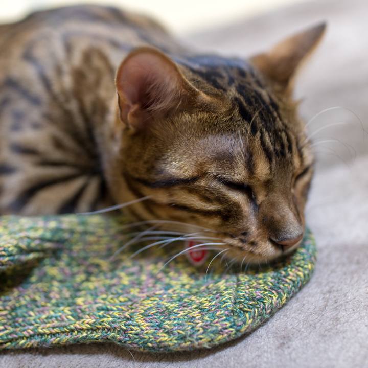 453eb54c 1b44 41aa a517 735a8ade6d69 1520952961918