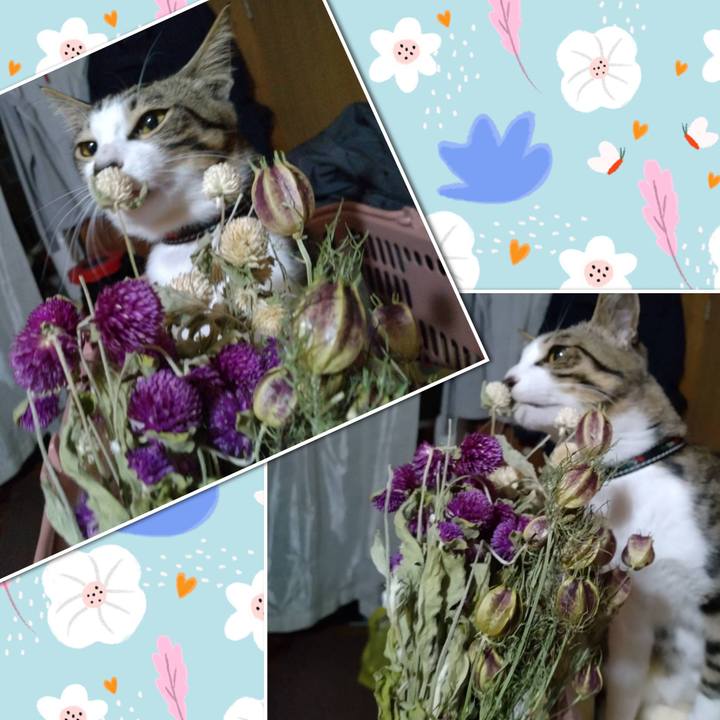 453f1cfe 4ec5 45d1 a1d5 b5c1243a00b2 1748802651323