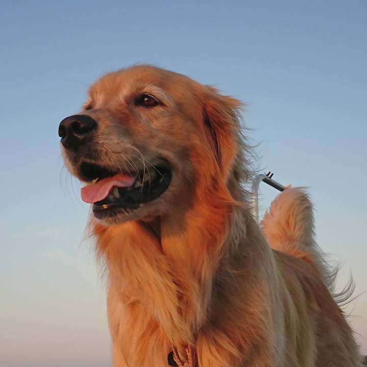 453f4f8e 97cb 4cc5 a4c3 6f27fb1cda5f 1540372303585