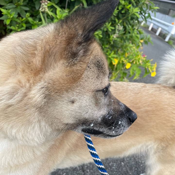 453fa57e 6166 42f2 83e3 fd50ef5dd22f 1657110559694