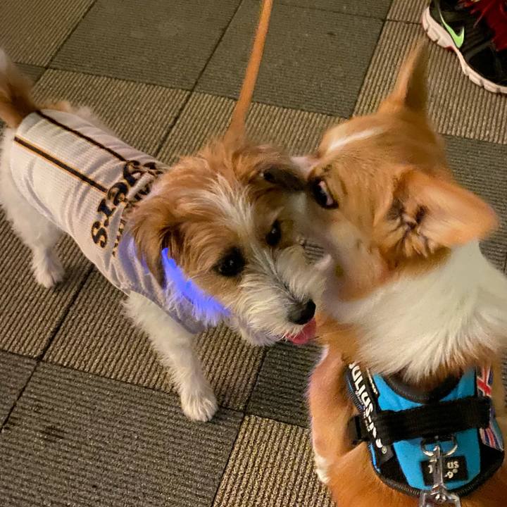 453fb2f3 75d8 42f7 8b6b 573d85ed563a 1661259384292