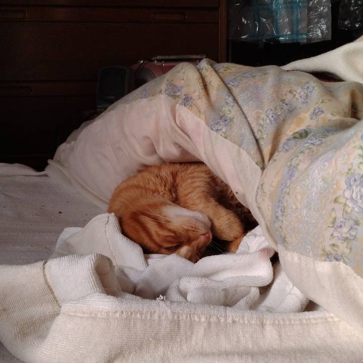 453fcb2a 0662 4827 a57c 7a12c0f4dd74 1717020445237