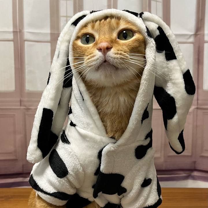 454017f5 8426 46e5 bd0c 660f9e8d1c93 1668077643897