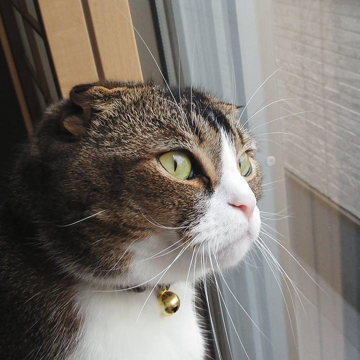 45402059 776e 43ed ad29 a2b21b6dfb54 1591434068388