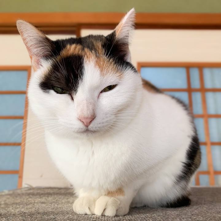 45403456 f9e5 4d77 9980 aed6e64f8a59 1588210791057