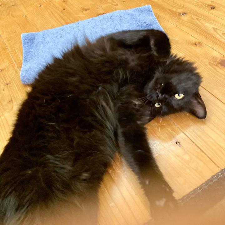 45403a99 f078 475e 887d 99286c8ab065 1754127603628