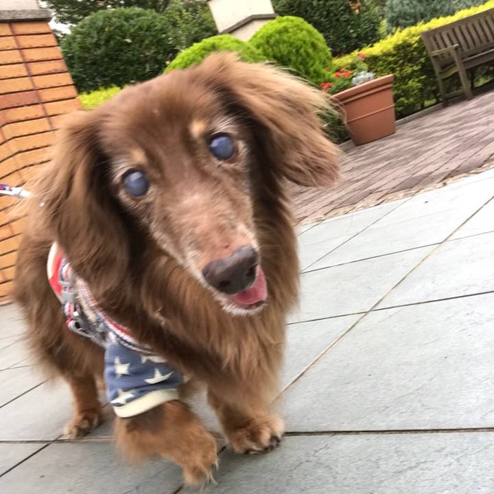 45404938 7656 42ed 80ad 8369f59cf117 1532559782564