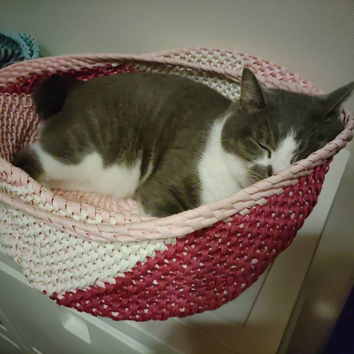 45407dd2 19eb 4ea6 998a 42ae3f76ce55 1720092666251