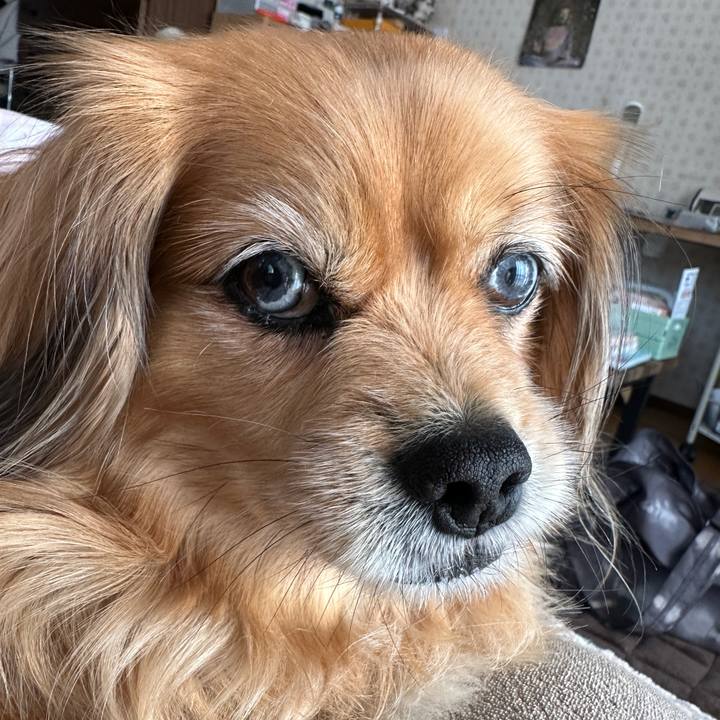 45408d85 cbae 424c ac2f 236cf1ac20ee 1743293496057