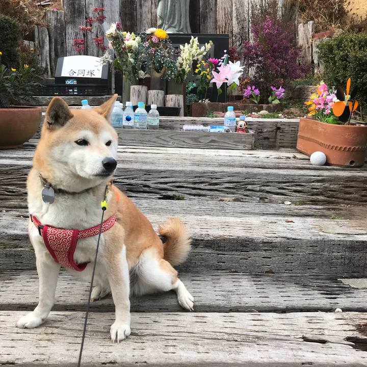 45409e22 dad7 4bb1 88c1 8c3aebf25251 1549782106949