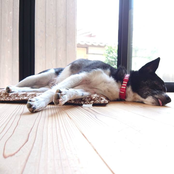 45411245 aa3d 4212 aea1 cc71f0e9fe26 1595162339202