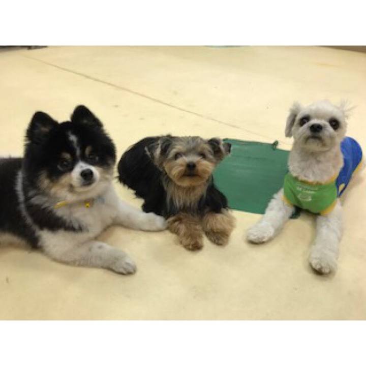 45411651 02e3 4f4b bf46 f879acda85ae 1519128285058