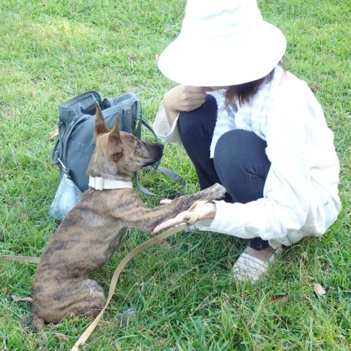 45412290 acaa 4063 883b 53a8a25b783b 1570319466312