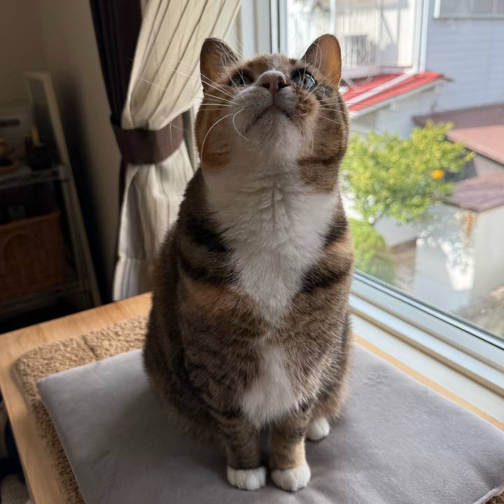 45414dd8 2345 4a34 afb2 92d02fe8b262 1768177412281