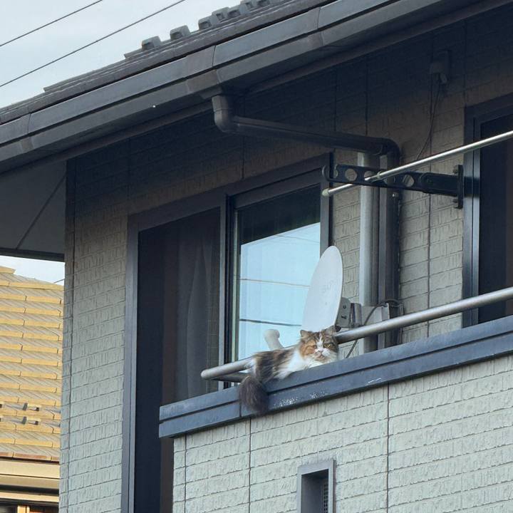 454152ae 58d4 4010 9ae3 fb0523d27509 1751072621811