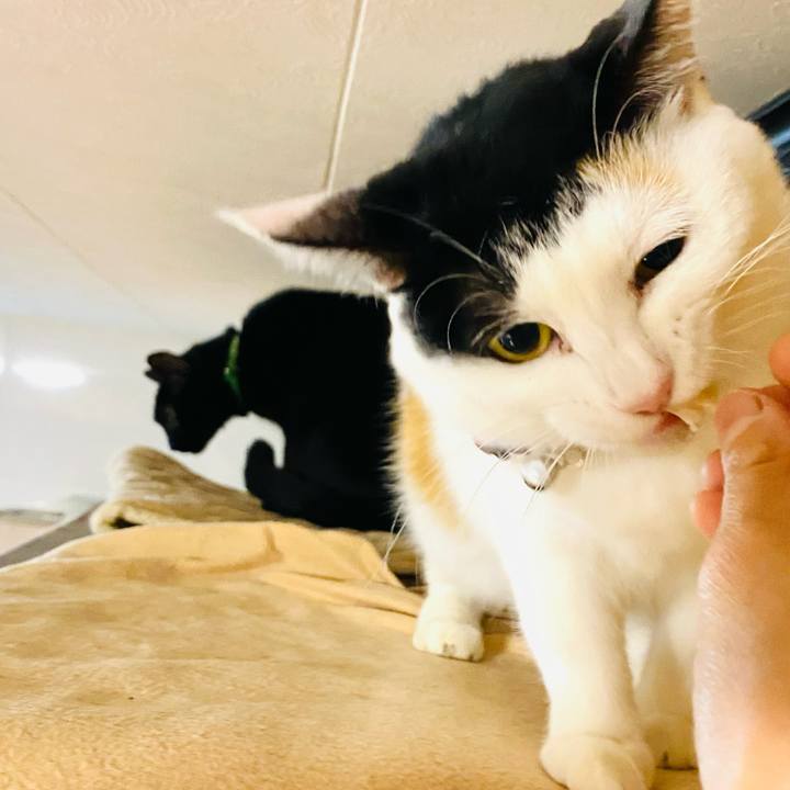 45415bc9 a46c 4c28 bf51 7e78f93d0058 1668083097313