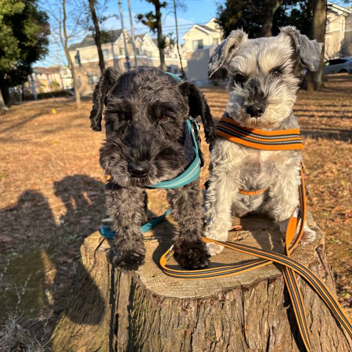 4541a4f2 47a2 4ba3 9fb6 8b48accae982 1703659207389