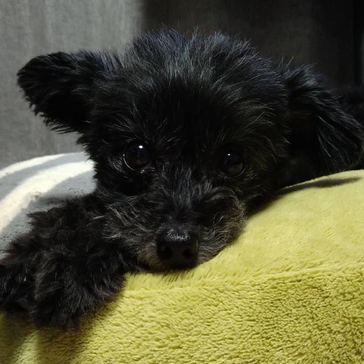 4541a92e 411c 4c06 9160 e17303a24375 1641381705085