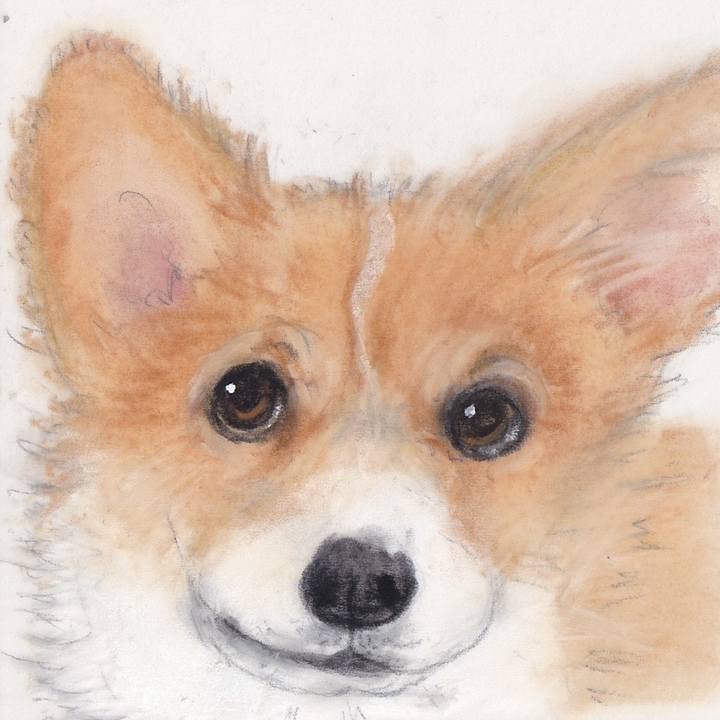 454307f4 fdd5 4123 97c2 8f7a5f4963a3 1745197231733