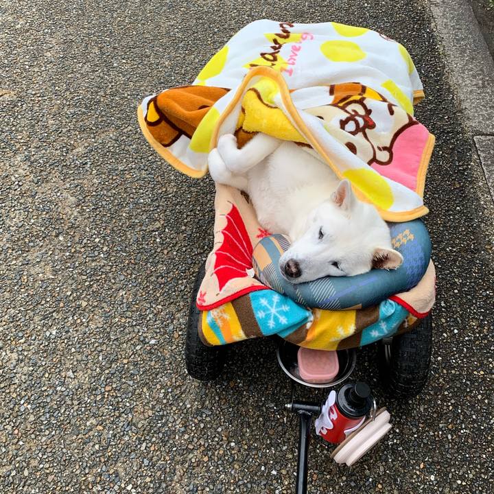 45430e41 b508 4bec 821d b93a41660068 1583659758640