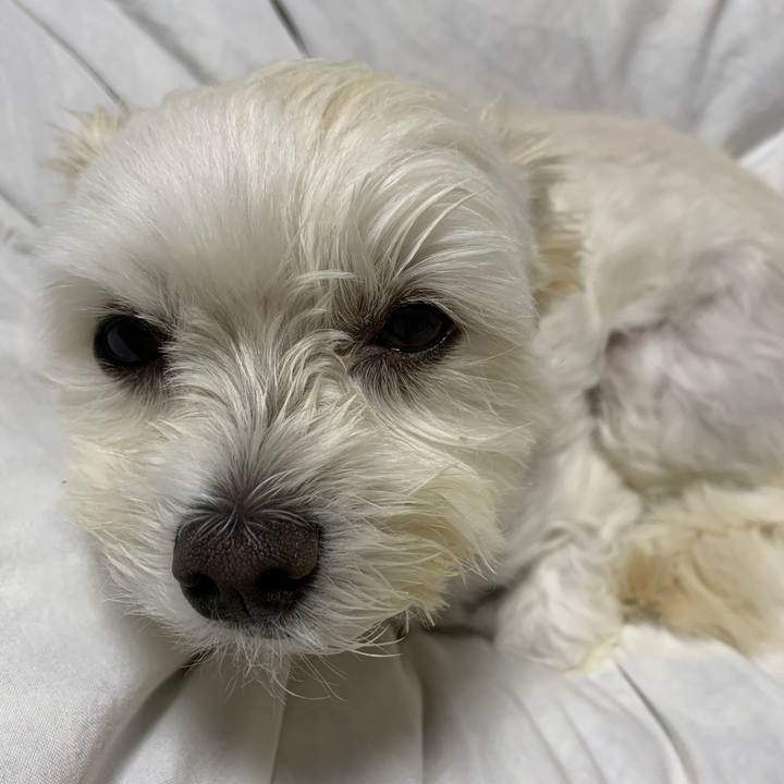 454312dd 51fb 4536 a6f8 f6ea3f641464 1572615295909