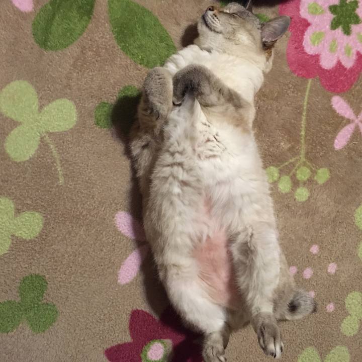 454331b6 7394 4e77 b8fa e5192449209a 1516709699001