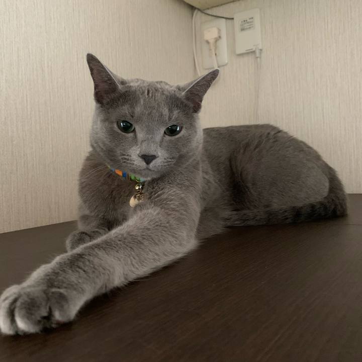 4543508d 2644 41d6 9d07 1e8b6bbfaed5 1639013173086