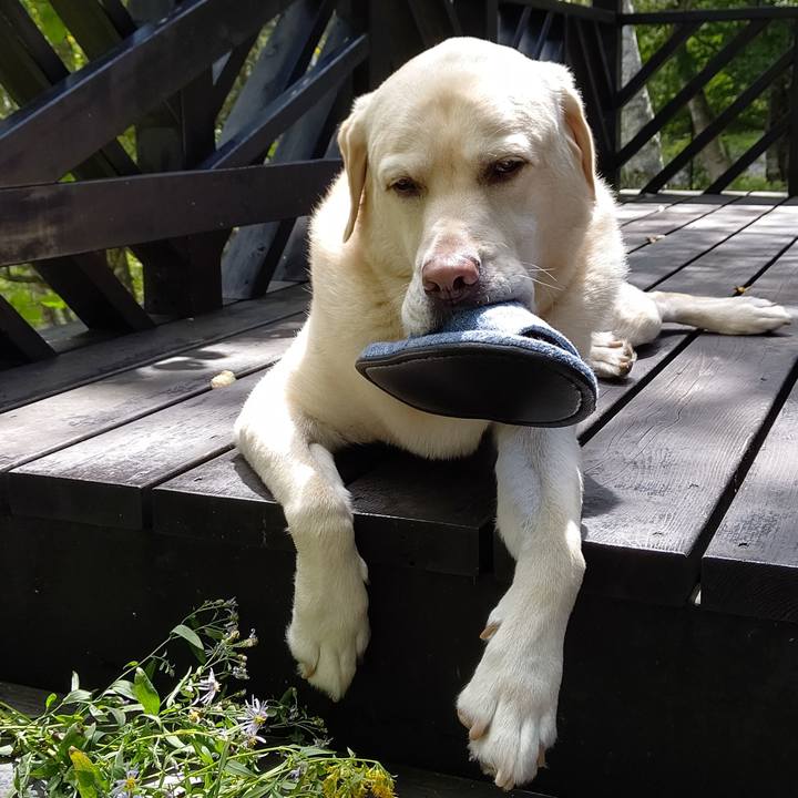 454356e1 42be 4bd0 b17c fb5e1234cab7 1662377711988