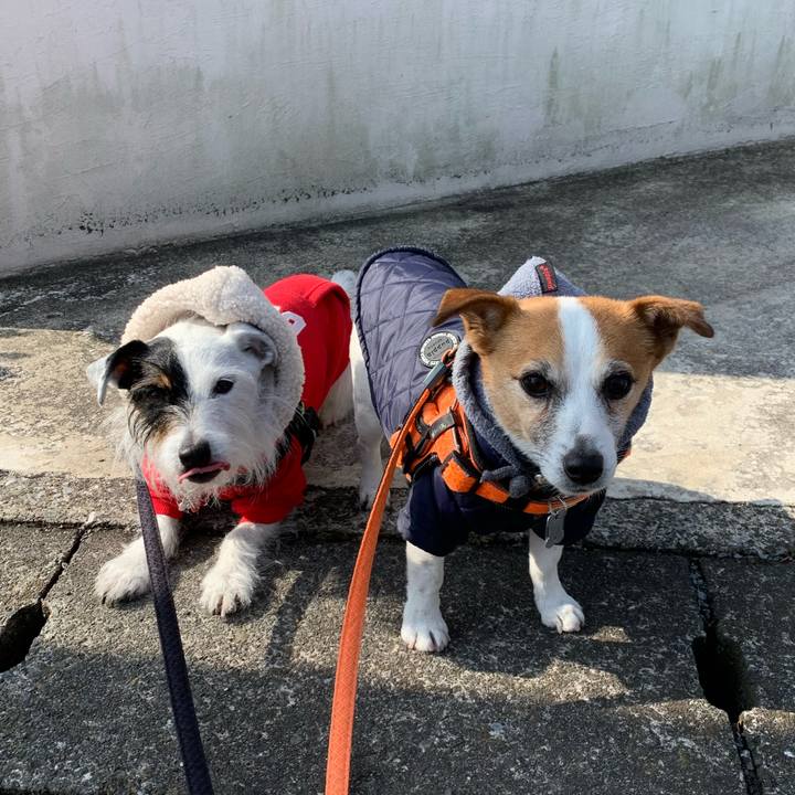 4543657d f7d3 4b29 a4a4 c0ded022fd13 1644889535588