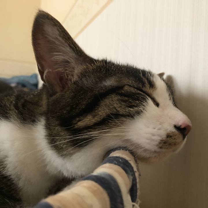 454372d3 d6ae 44c4 a233 6d28dfc52461 1593228637874