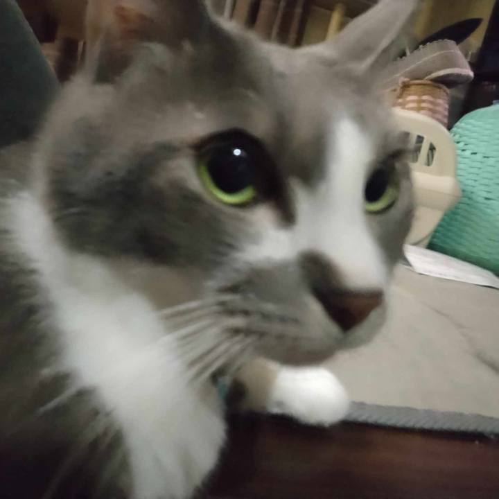 45438faf 0371 483c b379 ccbc4afb371a 1693913875122