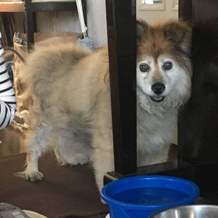 45439901 46c2 4fcc 9d41 93da0dd8dc3a 1562715378290