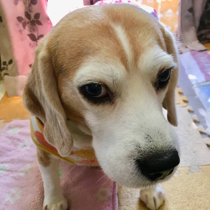 4543a283 3975 4f3c b4d3 6be7c3ecf17b 1548302435155