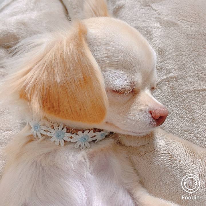 4543afce 7ce0 4668 a9e0 3f97ab1a08dc 1608296293486