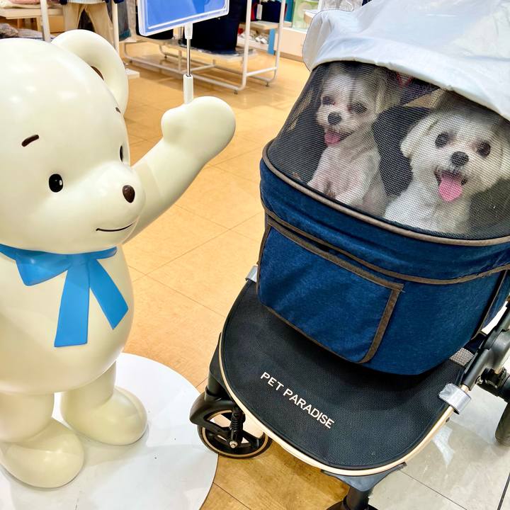 4543b7a9 1d29 426f 9ccc 162732bbd6df 1663578476773