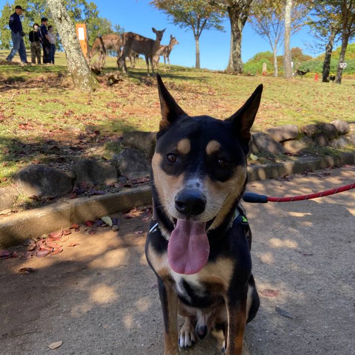 4543bbc8 e590 419c 8713 5c274a068f1b 1666153505781