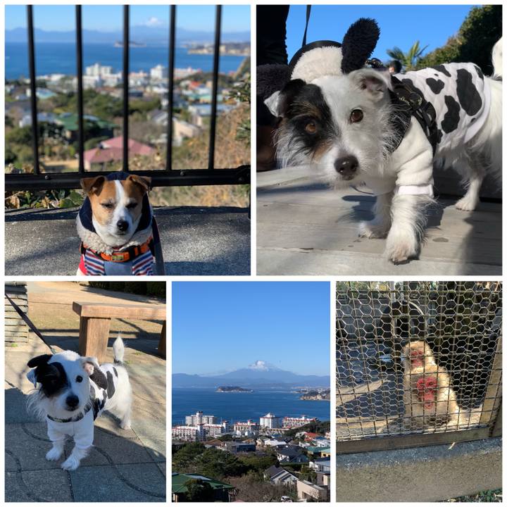 4543be0a 69ce 4f46 822c dfb1a0b51016 1609556386579