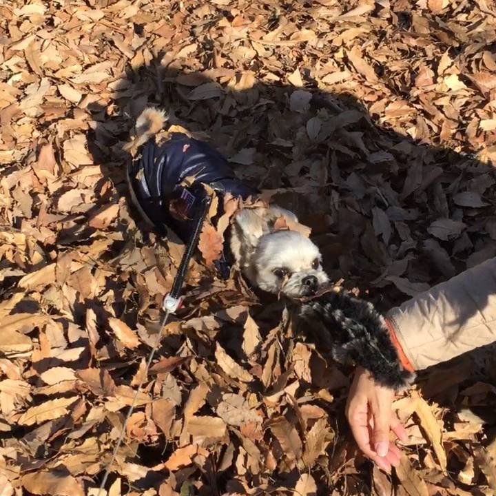 4543c45d cca3 488b 88c0 a3b3f5cef81c 1547456055582