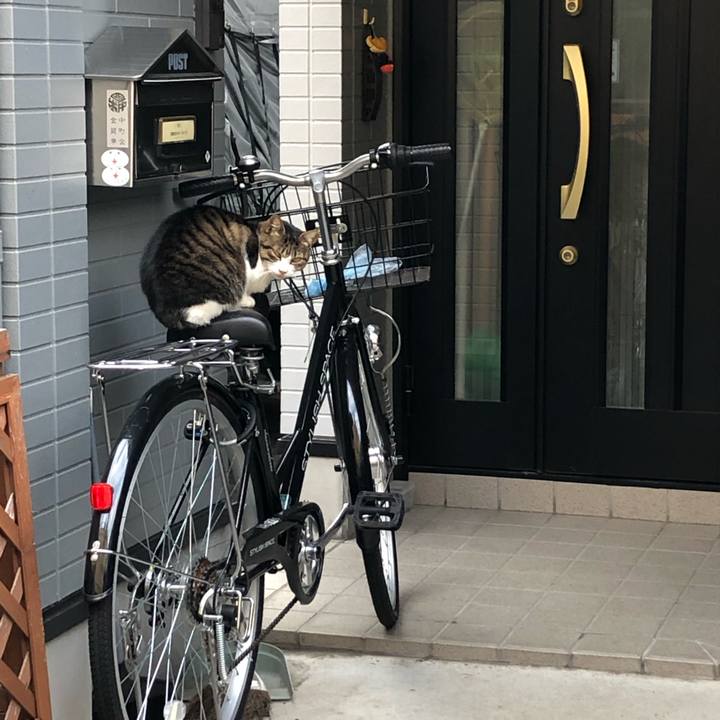 4543d278 20d6 4937 ac1b 768c500569c5 1572728574451