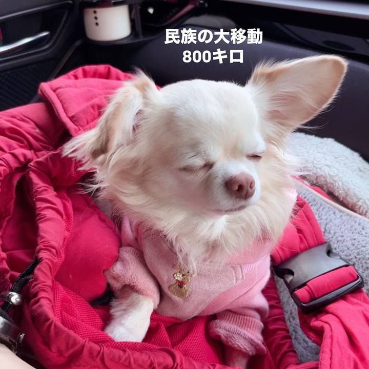 4543e388 f7e1 46a7 9df2 05eaa9b9c9e9 1735536011357