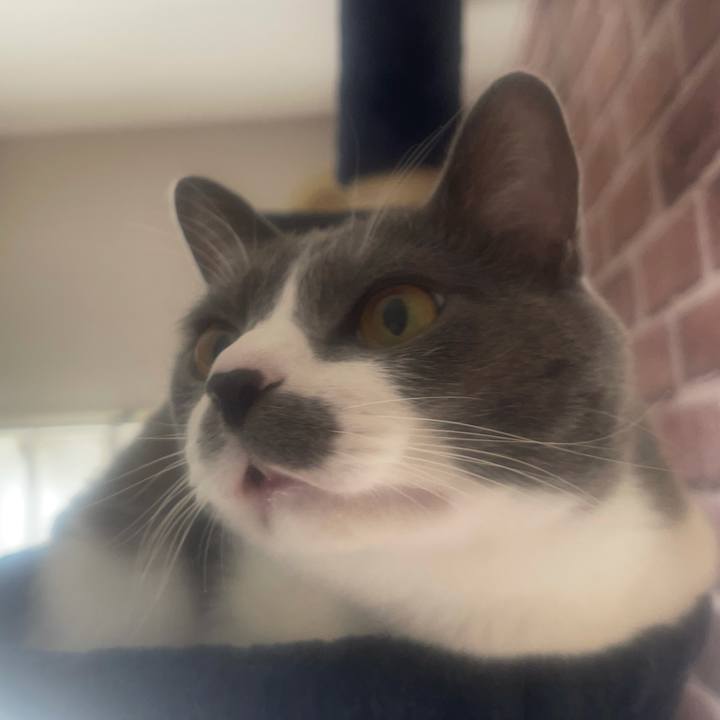 4543ecd9 1904 4d86 8993 6d9a1af651ce 1635993392168